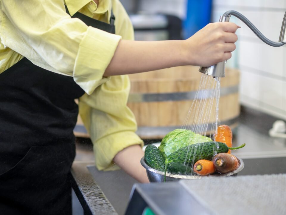 Eliminación de E. coli con un ozonizador de agua